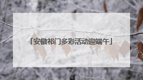 安徽祁门多彩活动迎端午