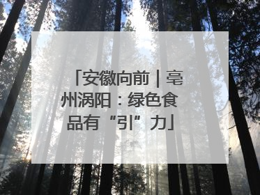 安徽向前｜亳州涡阳：绿色食品有“引”力