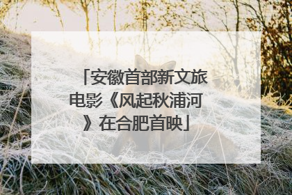 安徽首部新文旅电影《风起秋浦河》在合肥首映