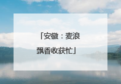 安徽：麦浪飘香收获忙