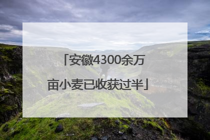 安徽4300余万亩小麦已收获过半