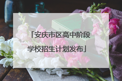 安庆市区高中阶段学校招生计划发布