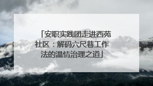 安职实践团走进西苑社区：解码六尺巷工作法的温情治理之道