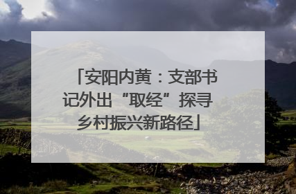 安阳内黄：支部书记外出“取经”探寻乡村振兴新路径