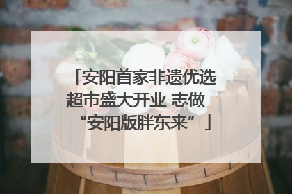 安阳首家非遗优选超市盛大开业 志做“安阳版胖东来”