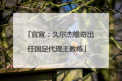 官宣：久尔杰维奇出任国足代理主教练