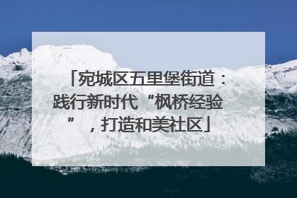 宛城区五里堡街道：践行新时代“枫桥经验”，打造和美社区