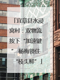 宜章县水浸窝村：双物流按下“加速键” 杨梅锁住“枝头鲜”
