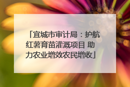 宜城市审计局：护航红薯育苗灌溉项目 助力农业增效农民增收