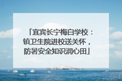 宜宾长宁梅白学校：镇卫生院进校送关怀，防暑安全知识润心田