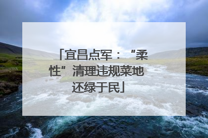 宜昌点军：“柔性”清理违规菜地 还绿于民