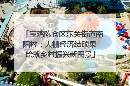 宝鸡陈仓区东关街道南阳村：大棚经济结硕果 绘就乡村振兴新图景