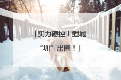 实力硬控！鲤城“圳”出圈！