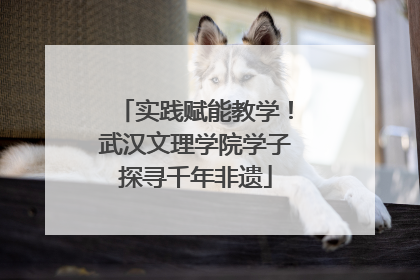 实践赋能教学！武汉文理学院学子探寻千年非遗
