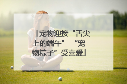 宠物迎接“舌尖上的端午” “宠物粽子”受喜爱