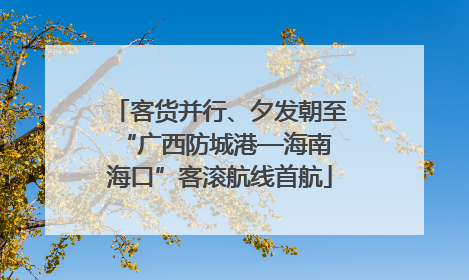 客货并行、夕发朝至 “广西防城港—海南海口”客滚航线首航