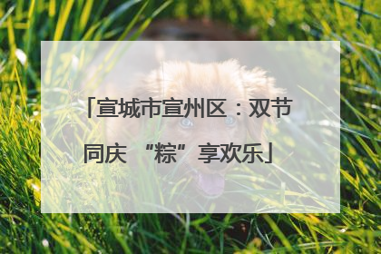 宣城市宣州区：双节同庆 “粽”享欢乐