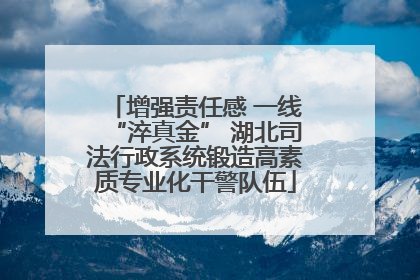 增强责任感 一线“淬真金” 湖北司法行政系统锻造高素质专业化干警队伍