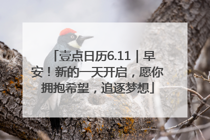 壹点日历6.11｜早安！新的一天开启，愿你拥抱希望，追逐梦想