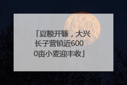 夏粮开镰，大兴长子营镇近6000亩小麦迎丰收