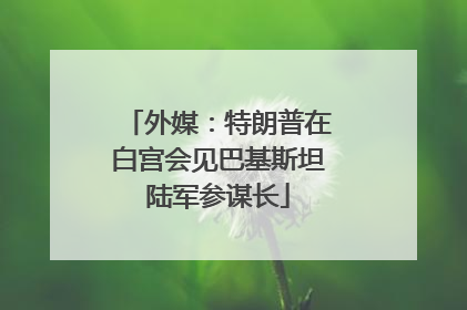 外媒：特朗普在白宫会见巴基斯坦陆军参谋长