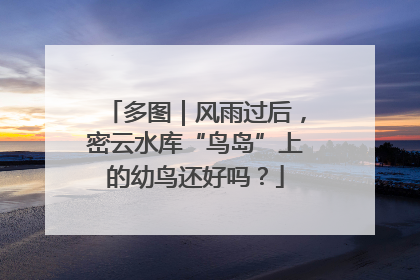 多图｜风雨过后，密云水库“鸟岛”上的幼鸟还好吗？