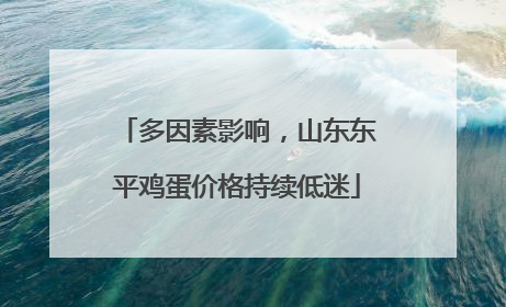 多因素影响，山东东平鸡蛋价格持续低迷