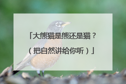 大熊猫是熊还是猫？（把自然讲给你听）
