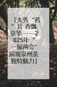 大秀“茗”片 香飘京华——2025年“一展两会”展现泉州茶独特魅力