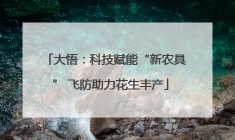大悟：科技赋能“新农具” 飞防助力花生丰产