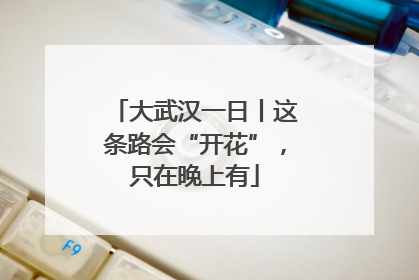 大武汉一日丨这条路会“开花”，只在晚上有