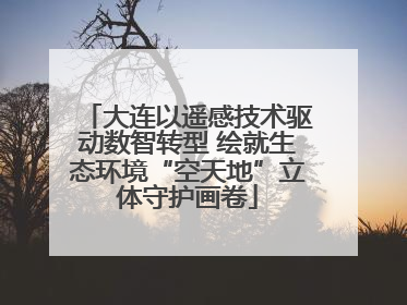 大连以遥感技术驱动数智转型 绘就生态环境“空天地”立体守护画卷