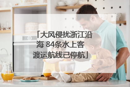 大风侵扰浙江沿海 84条水上客渡运航线已停航