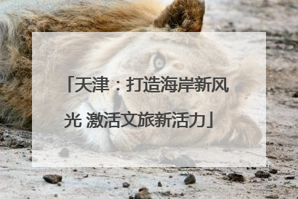 天津：打造海岸新风光 激活文旅新活力