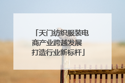 天门纺织服装电商产业跨越发展 打造行业新标杆