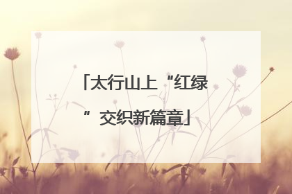 太行山上“红绿”交织新篇章