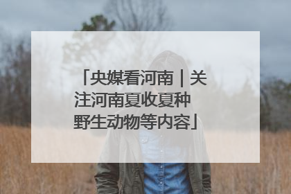 央媒看河南｜关注河南夏收夏种 野生动物等内容