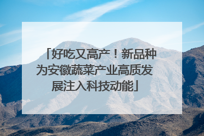 好吃又高产！新品种为安徽蔬菜产业高质发展注入科技动能