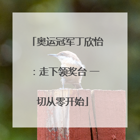 奥运冠军丁欣怡：走下领奖台 一切从零开始