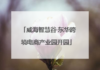 威海智慧谷·东华跨境电商产业园开园