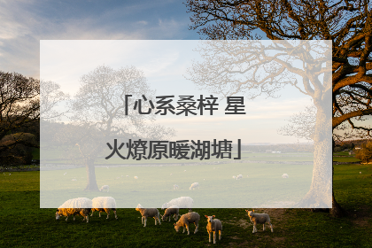 心系桑梓 星火燎原暖湖塘