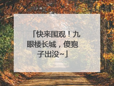 快来围观！九眼楼长城，傻狍子出没~