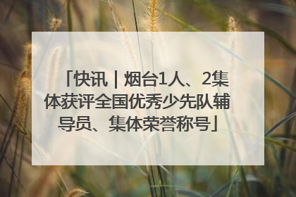 快讯｜烟台1人、2集体获评全国优秀少先队辅导员、集体荣誉称号