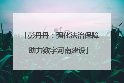 彭丹丹：强化法治保障 助力数字河南建设