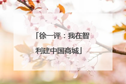 徐一评：我在智利建中国商城