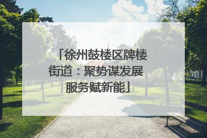 徐州鼓楼区牌楼街道：聚势谋发展 服务赋新能