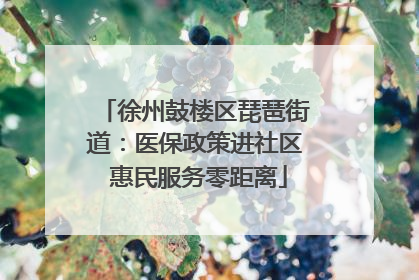 徐州鼓楼区琵琶街道：医保政策进社区 惠民服务零距离