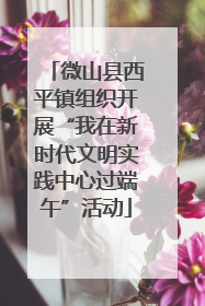 微山县西平镇组织开展“我在新时代文明实践中心过端午”活动