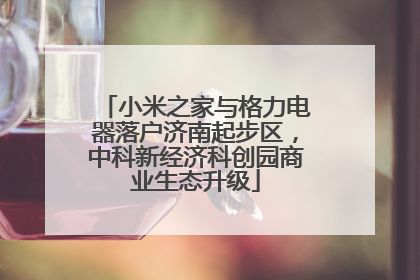 小米之家与格力电器落户济南起步区，中科新经济科创园商业生态升级