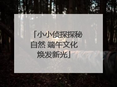 小小侦探探秘自然 端午文化焕发新光